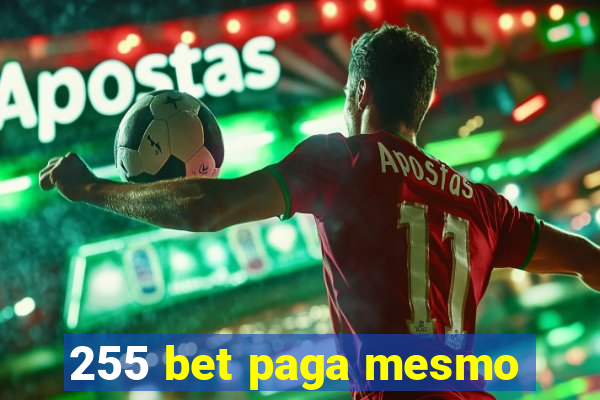 255 bet paga mesmo